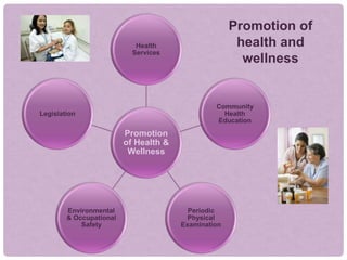 Promotion
of Health &
Wellness
Health
Services
Community
Health
Education
Periodic
Physical
Examination
Environmental
& Occupational
Safety
Legislation
Promotion of
health and
wellness
 