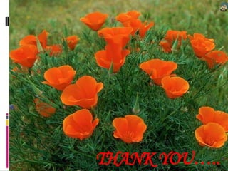 THANK YOU…..
 