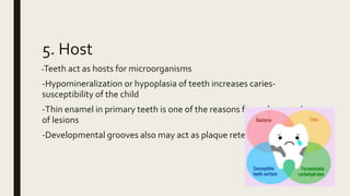 5. Host
-Teeth act as hosts for microorganisms
-Hypomineralization or hypoplasia of teeth increases caries-
susceptibility of the child
-Thin enamel in primary teeth is one of the reasons for early spread
of lesions
-Developmental grooves also may act as plaque retentive areas
 
