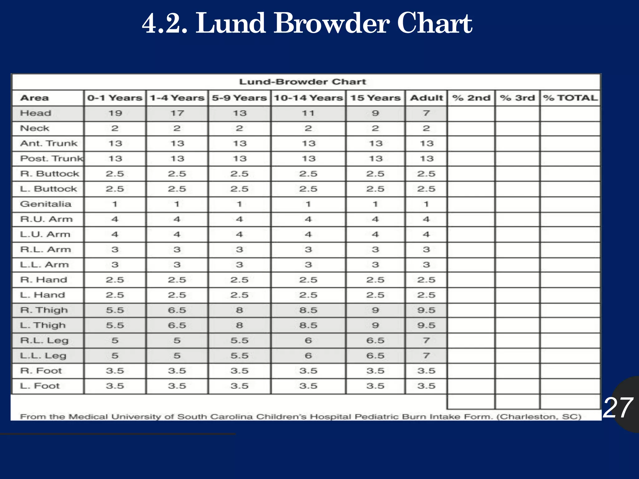Burn Injuries: Management and Nursing Care | PDF