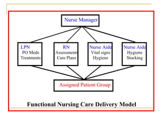Care Delivery Nursing Profession