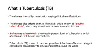 What Is Tuberculosis (TB)
• The disease is usually chronic with varying clinical manifestations.
• The disease also affects animals like cattle; this is known as “Bovine
tuberculosis", which may sometimes be communicated to man.
• Pulmonary tuberculosis, the most important form of tuberculosis which
affects man, will be considered here.
• Tuberculosis (TB) is one of the most prevalent infections of human beings It
contributes considerably to illness and death around the world
 