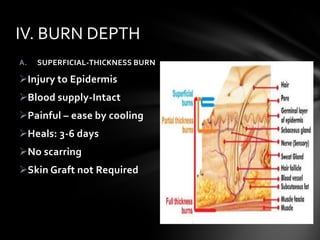 Innerwick Burn Nursing care management of BURNS in ER | PPTX