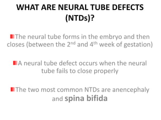 WHAT ARE NEURAL TUBE DEFECTS
(NTDs)?
The neural tube forms in the embryo and then
closes (between the 2nd and 4th week of gestation)
A neural tube defect occurs when the neural
tube fails to close properly
The two most common NTDs are anencephaly
and spina bifida
 