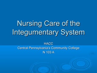 Nursing Care of the
Integumentary System
                  HACC
 Central Pennsylvania’s Community College
                 N 103 A
 