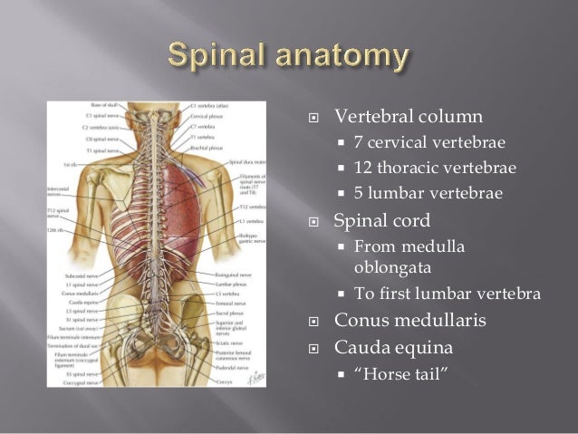 Nursing care of the patient with sci