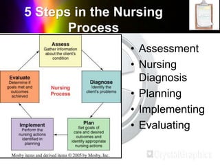 5 Steps in the Nursing
Process
• Assessment
• Nursing
Diagnosis
• Planning
• Implementing
• Evaluating
 