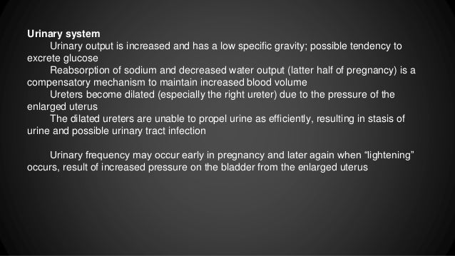 Nifedipine Pregnancy Nursing Considerations