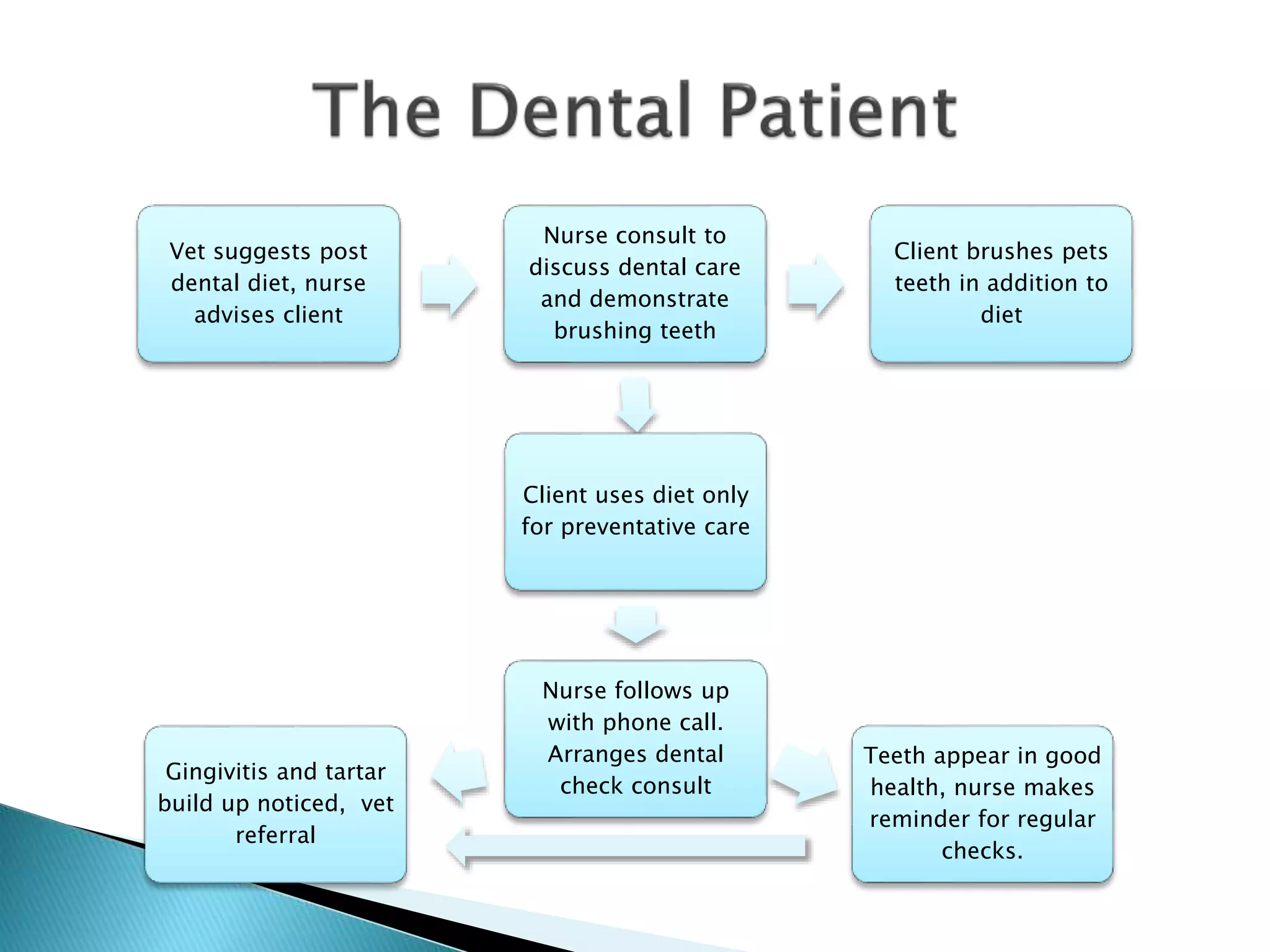 Vet suggests post
dental diet, nurse
advises client
Nurse consult to
discuss dental care
and demonstrate
brushing teeth
Client brushes pets
teeth in addition to
diet
Client uses diet only
for preventative care
Nurse follows up
with phone call.
Arranges dental
check consult
Gingivitis and tartar
build up noticed, vet
referral
Teeth appear in good
health, nurse makes
reminder for regular
checks.
 