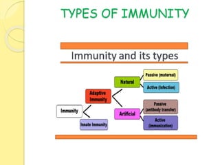 TYPES OF IMMUNITY
 