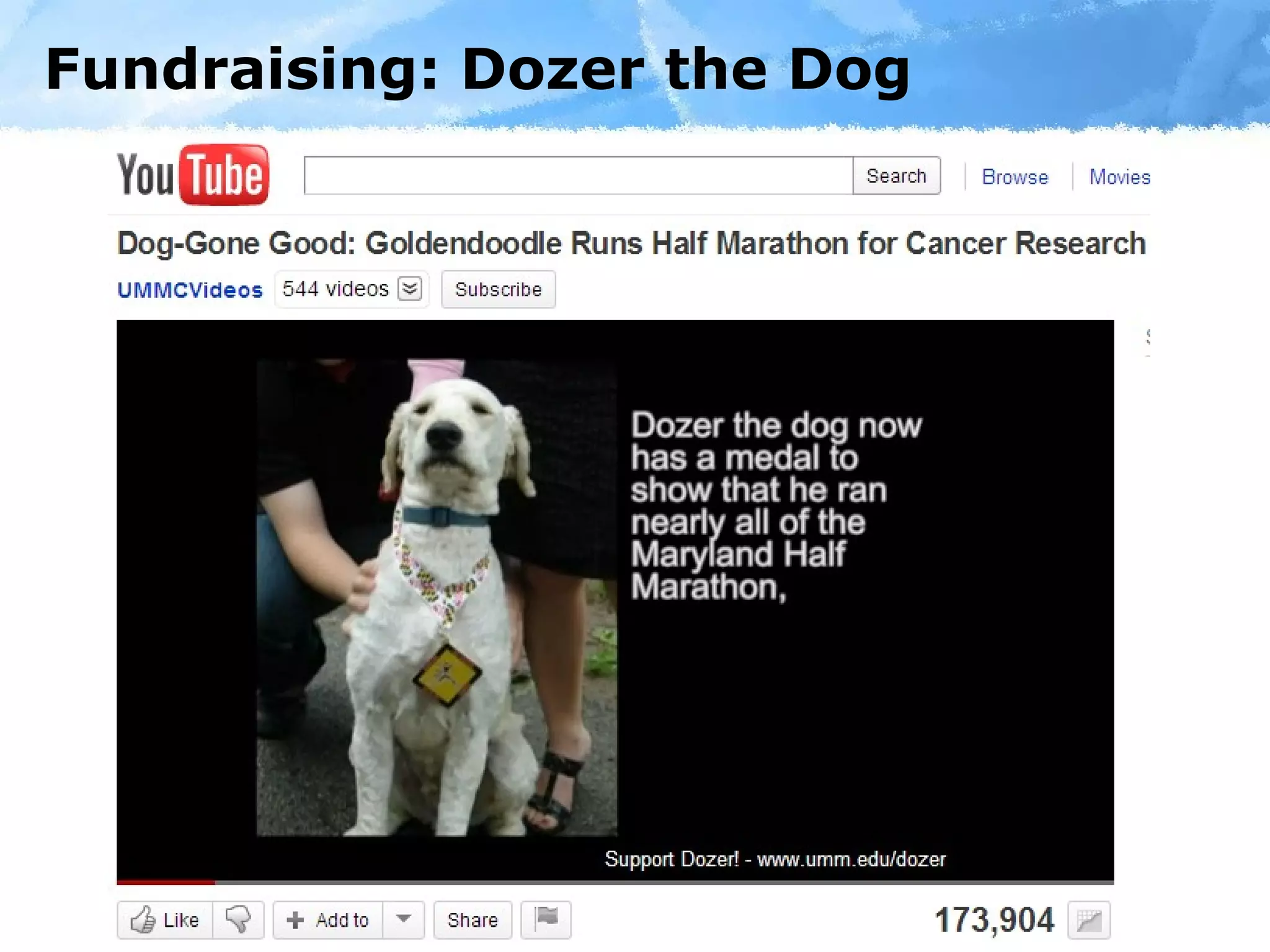 Fundraising: Dozer the Dog 