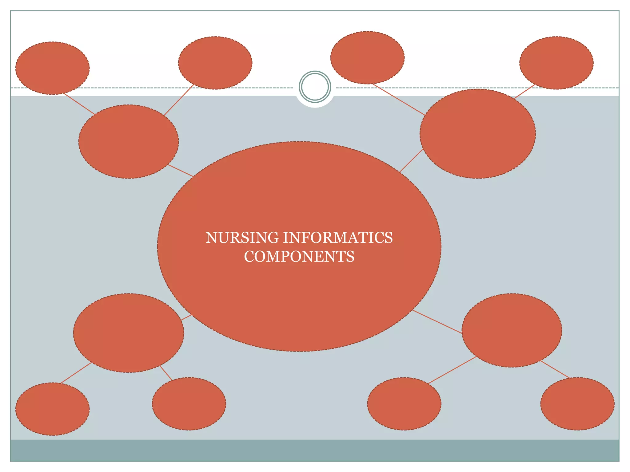 NURSING INFORMATICSCOMPONENTS
