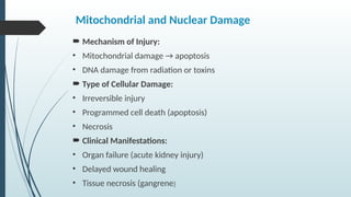 Comprehensive Overview of Cell Injury, Necrosis, and Apoptosis ...