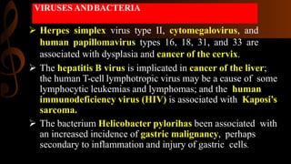 VIRUSES ANDBACTERIA
 Herpes simplex virus type II, cytomegalovirus, and
human papillomavirus types 16, 18, 31, and 33 are
associated with dysplasia and cancer of the cervix.
 The hepatitis B virus is implicated in cancer of the liver;
the human T-cell lymphotropic virus may be a cause of some
lymphocytic leukemias and lymphomas; and the human
immunodeficiency virus (HIV) is associated with Kaposi’s
sarcoma.
 The bacterium Helicobacter pylorihas been associated with
an increased incidence of gastric malignancy, perhaps
secondary to inflammation and injury of gastric cells.
 