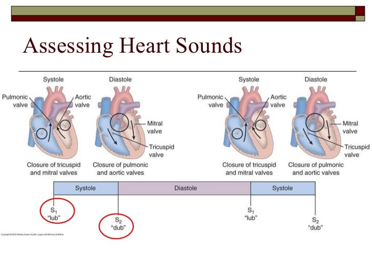 Nusing Management Of Chf English Symposia