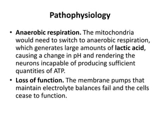 Pathophysiology
• Anaerobic respiration. The mitochondria
would need to switch to anaerobic respiration,
which generates large amounts of lactic acid,
causing a change in pH and rendering the
neurons incapable of producing sufficient
quantities of ATP.
• Loss of function. The membrane pumps that
maintain electrolyte balances fail and the cells
cease to function.
 