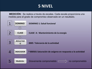Nursing outcomes classification (noc) | PPT