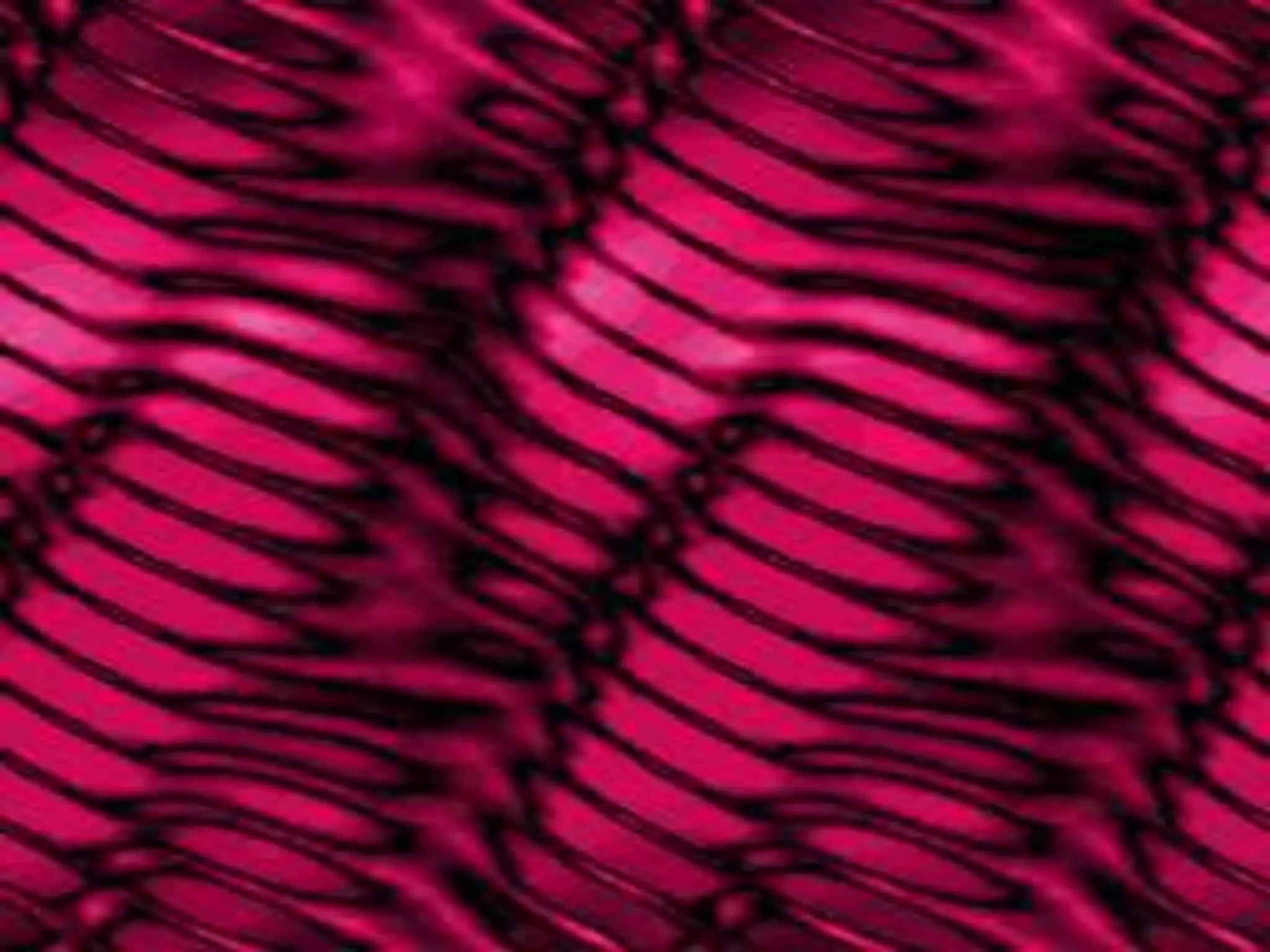 BIOGRAPHICAL DATA       Name:(use initials)	     Age:     Sex:Marital Status:					      Religion/Spiritual practices:		     Address:     Birth date:Birthplace:by: CMG