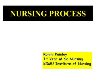 NURSING PROCESS
Rohini Pandey
1st Year M.Sc Nursing
KGMU Institute of Nursing
 