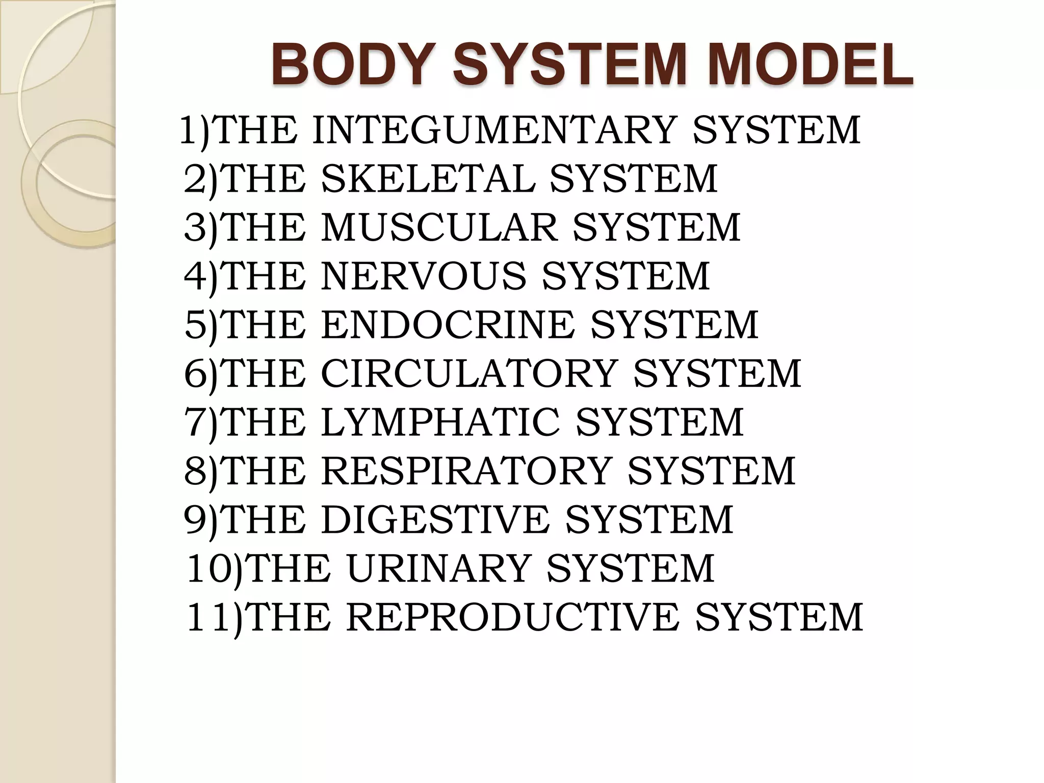 BODY SYSTEM MODEL
1)THE INTEGUMENTARY SYSTEM
2)THE SKELETAL SYSTEM
3)THE MUSCULAR SYSTEM
4)THE NERVOUS SYSTEM
5)THE ENDOCRINE SYSTEM
6)THE CIRCULATORY SYSTEM
7)THE LYMPHATIC SYSTEM
8)THE RESPIRATORY SYSTEM
9)THE DIGESTIVE SYSTEM
10)THE URINARY SYSTEM
11)THE REPRODUCTIVE SYSTEM
 