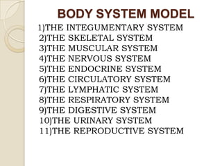 BODY SYSTEM MODEL
1)THE INTEGUMENTARY SYSTEM
2)THE SKELETAL SYSTEM
3)THE MUSCULAR SYSTEM
4)THE NERVOUS SYSTEM
5)THE ENDOCRINE SYSTEM
6)THE CIRCULATORY SYSTEM
7)THE LYMPHATIC SYSTEM
8)THE RESPIRATORY SYSTEM
9)THE DIGESTIVE SYSTEM
10)THE URINARY SYSTEM
11)THE REPRODUCTIVE SYSTEM
 