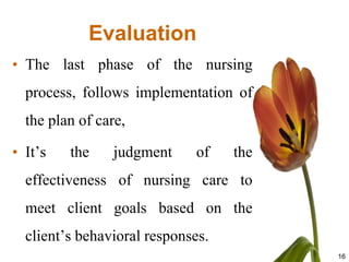 Evaluation
• The last phase of the nursing
  process, follows implementation of
  the plan of care,

• It’s   the    judgment     of    the
  effectiveness of nursing care to
  meet client goals based on the
  client’s behavioral responses.
                                         16
 