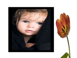 Nursing process  implementing and evaluating