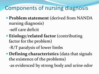 Nursing process a simple guide for student nurses | PPTX