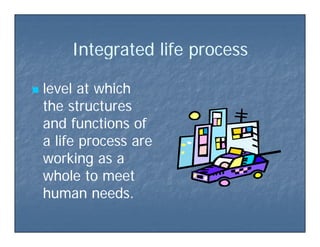 Integ ated life p ocessInteg ated life p ocessIntegrated life processIntegrated life process
 level at whichlevel at which
the structuresthe structuresthe structuresthe structures
and functions ofand functions of
a life process area life process area life process area life process are
working as aworking as a
h lh lwhole to meetwhole to meet
human needs.human needs.
 