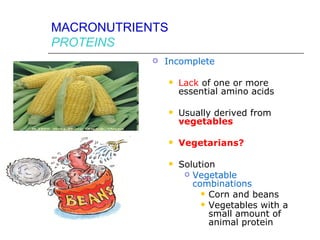 MACRONUTRIENTS
PROTEINS
               Incomplete

                    Lack of one or more
                     essential amino acids

                    Usually derived from
                     vegetables

                    Vegetarians?

                    Solution
                       Vegetable
                        combinations
                           Corn and beans
                           Vegetables with a
                            small amount of
                            animal protein
 