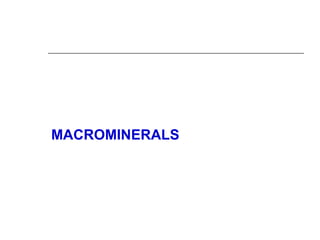 MACROMINERALS
 