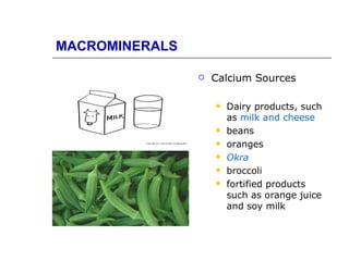 MACROMINERALS

                   Calcium Sources

                       Dairy products, such
                        as milk and cheese
                       beans
                       oranges
                       Okra
                       broccoli
                       fortified products
                        such as orange juice
                        and soy milk
 