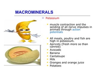 MACROMINERALS
            Potassium

                muscle contraction and the
                 sending of all nerve impulses in
                 animals through action
                 potentials

                All meats, poultry and fish are
                 high in potassium.
                Apricots (fresh more so than
                 canned)
                Avocado
                Banana
                Cantaloupe
                Milk
                Oranges and orange juice
                Potatoes
 