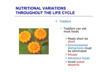 NUTRITIONAL VARIATIONS
THROUGHOUT THE LIFE CYCLE

                   Toddlers

                       Toddlers can eat
                        most foods

                            Meals short be
                             short
                            Environmental
                             distractions must
                             be eliminated
                            Rituals
                            Attractive foods
                            Avoid sweet
                             desserts
 