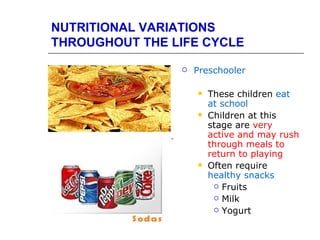NUTRITIONAL VARIATIONS
THROUGHOUT THE LIFE CYCLE

                   Preschooler

                       These children eat
                        at school
                       Children at this
                        stage are very
                        active and may rush
                        through meals to
                        return to playing
                       Often require
                        healthy snacks
                          Fruits

                          Milk

                          Yogurt
 