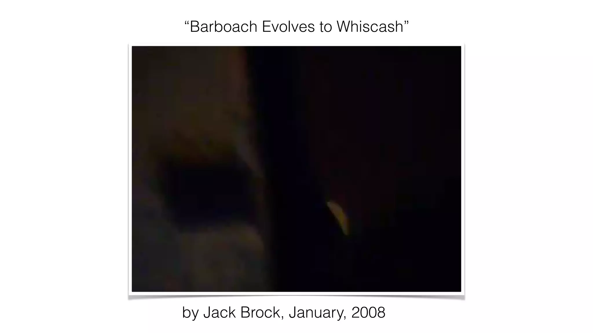 “Barboach Evolves to Whiscash”
by Jack Brock, January, 2008
 