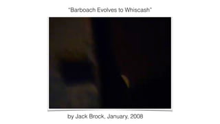 “Barboach Evolves to Whiscash”
by Jack Brock, January, 2008
 