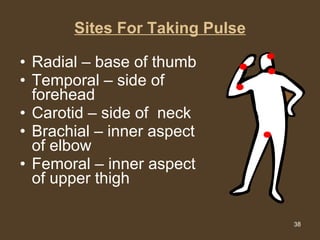 Sites For Taking Pulse Radial – base of thumb Temporal – side of forehead Carotid – side of  neck Brachial – inner aspect of elbow Femoral – inner aspect of upper thigh 