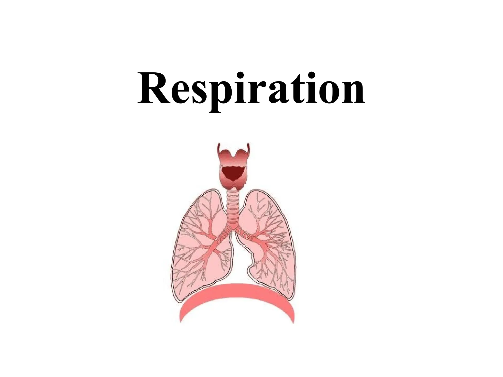 Respiration
 