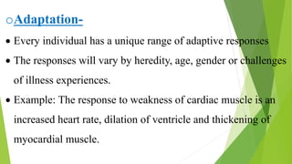 Nursing theory ppt.pptx