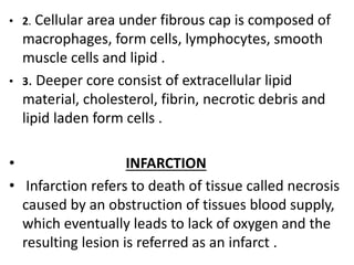• 2. Cellular area under fibrous cap is composed of
macrophages, form cells, lymphocytes, smooth
muscle cells and lipid .
...