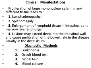 Clinical Manifestations
• Proliferation of large mononuclear cells in many
different tissue leads to :
• 1. Lymphadenopath...