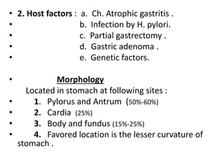 • 2. Host factors : a. Ch. Atrophic gastritis .
• b. Infection by H. pylori.
• c. Partial gastrectomy .
• d. Gastric adeno...
