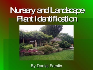Nursery and Landscape Plant Identification By Daniel Forslin 