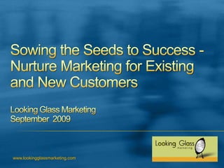 Effective B-to-B Marketing Strategies for Today’s Economy Looking Glass MarketingSeptember  2009 www.lookingglassmarketing.com 