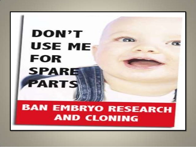 should stem cell research be legal Check out the online debate should embryonic stem cell research be legal. should stem cell research be legal Check out the online debate should embryonic stem cell research be legal.