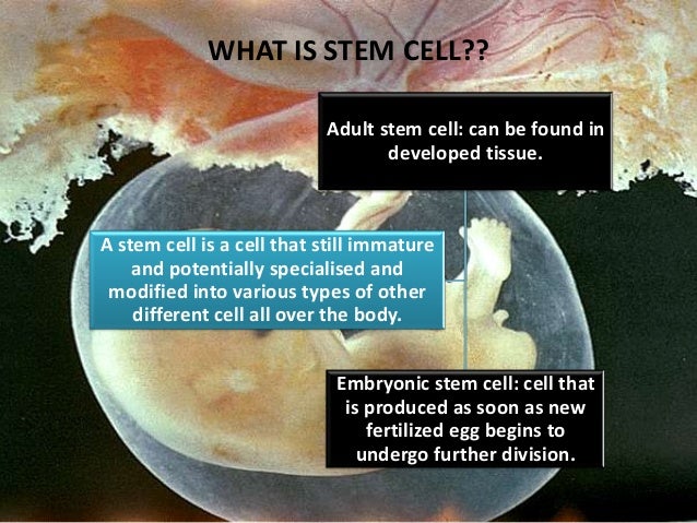 should stem cell research be banned Or ban stem cell research may have a significant impact on the lives and welfare of thousands, if not millions, of people the reason the debate between advocates and opponents of stem cell. should stem cell research be banned Or ban stem cell research may have a significant impact on the lives and welfare of thousands, if not millions, of people the reason the debate between advocates and opponents of stem cell.