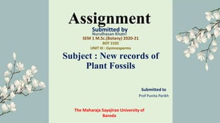 AssignmentSubmitted by
Submitted to
Prof Punita Parikh
SEM 1 M.Sc.(Botany) 2020-21
Subject : New records of
Plant Fossils
The Maharaja Sayajirao University of
Baroda
BOT 2102
UNIT III : Gymnosperms
Nurulhasan Khatri
 