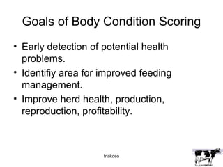 Goals of Body Condition Scoring 
• Early detection of potential health 
problems. 
• Identifiy area for improved feeding 
management. 
• Improve herd health, production, 
reproduction, profitability. 
triakoso 
 