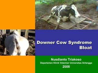Downer Cow Syndrome
Bloat
Nusdianto Triakoso
Departemen Klinik Veteriner Universitas Airlangga

2008

pengabdian pada masyarakat BEM FKH Nganjuk 2008

 